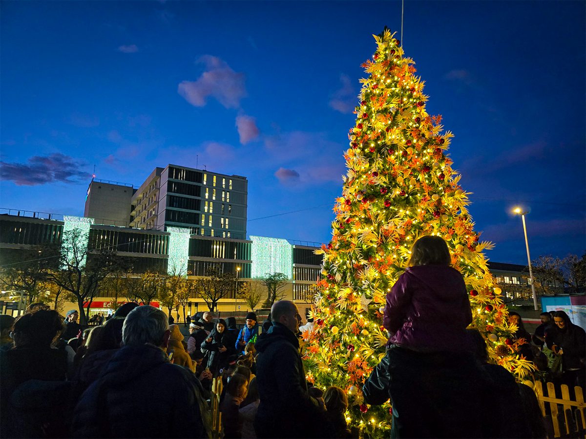 El Parc Taulí encén els llums de l’arbre de Nadal